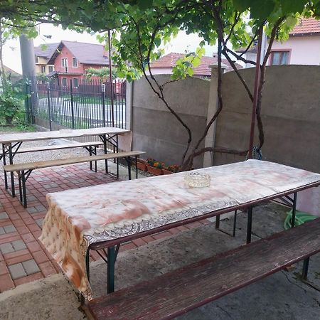 Hotel Casa Andreea Novaci-Străini Exteriér fotografie