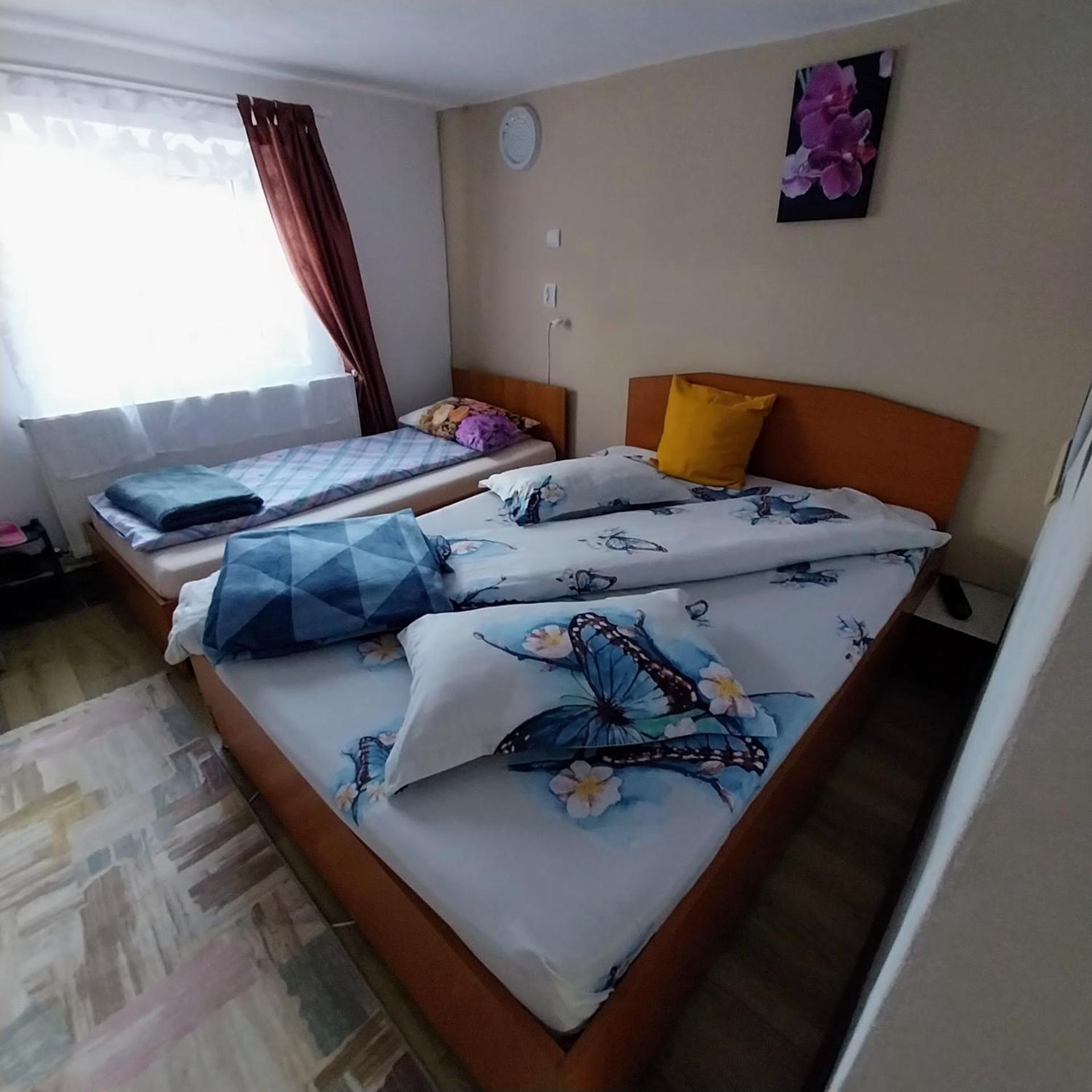 Hotel Casa Andreea Novaci-Străini Exteriér fotografie